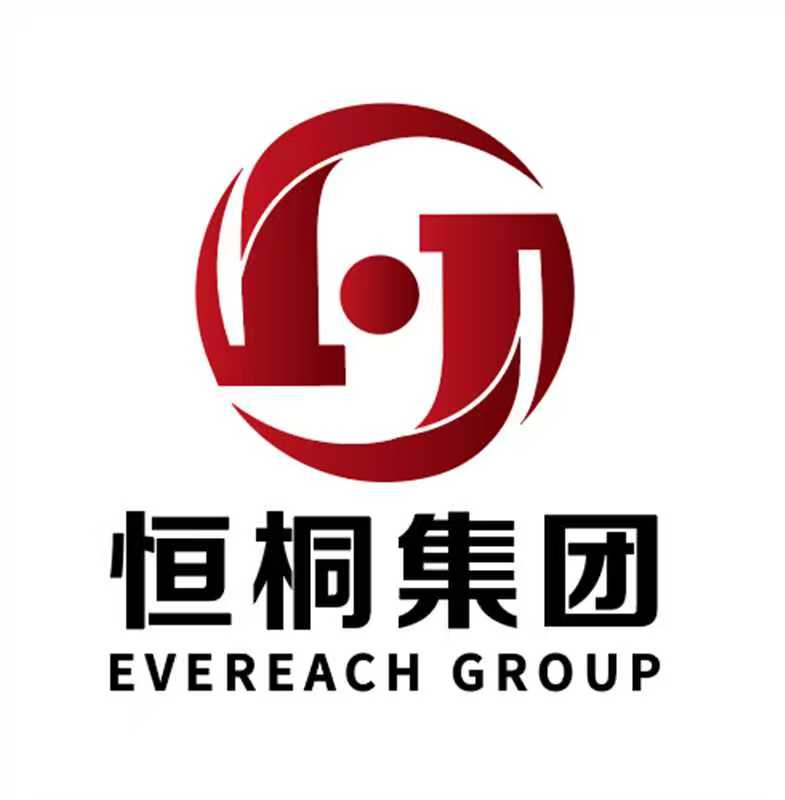 恒桐集团 Logo
